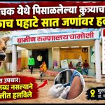 मुरखळाचक येथे पिसाळलेल्या कुत्र्याचा धुमाकूळ; एकाच पहाटे सात जणांवर हल्ला.